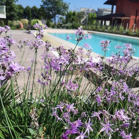 Appartamenti Villa Gloria Peschiera del Garda Eksteriør bilde